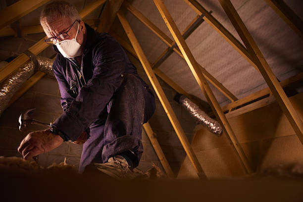 Best Insulation Materials and Products in Lorado City, CO
